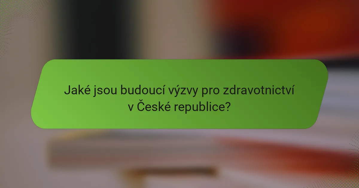 Jaké jsou budoucí výzvy pro zdravotnictví v České republice?