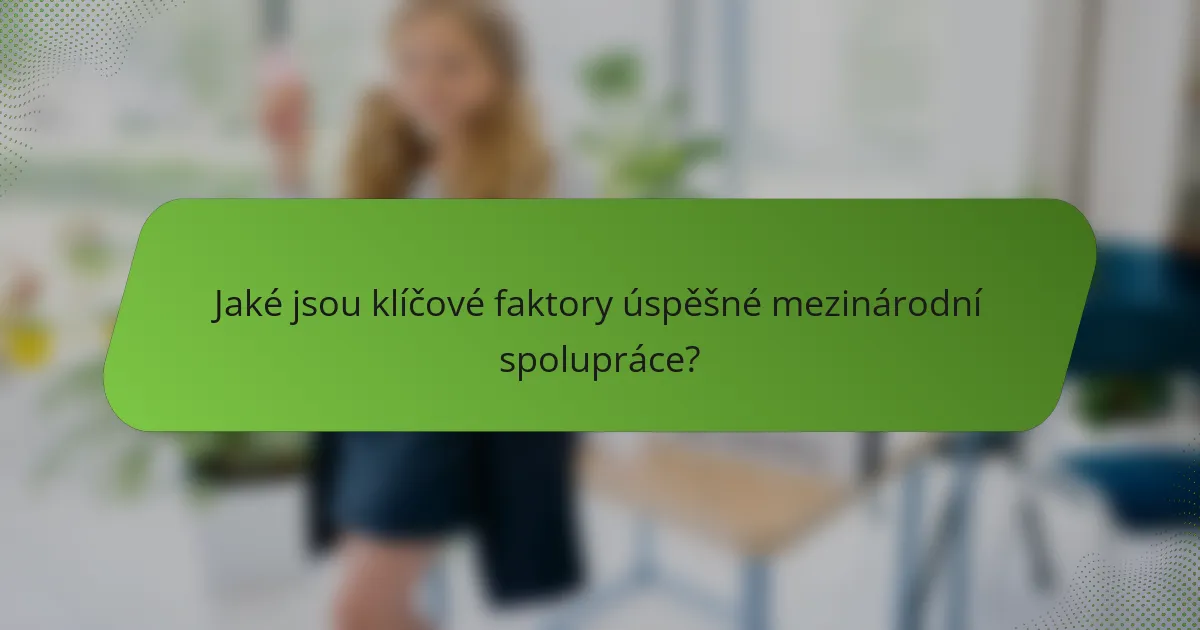 Jaké jsou klíčové faktory úspěšné mezinárodní spolupráce?