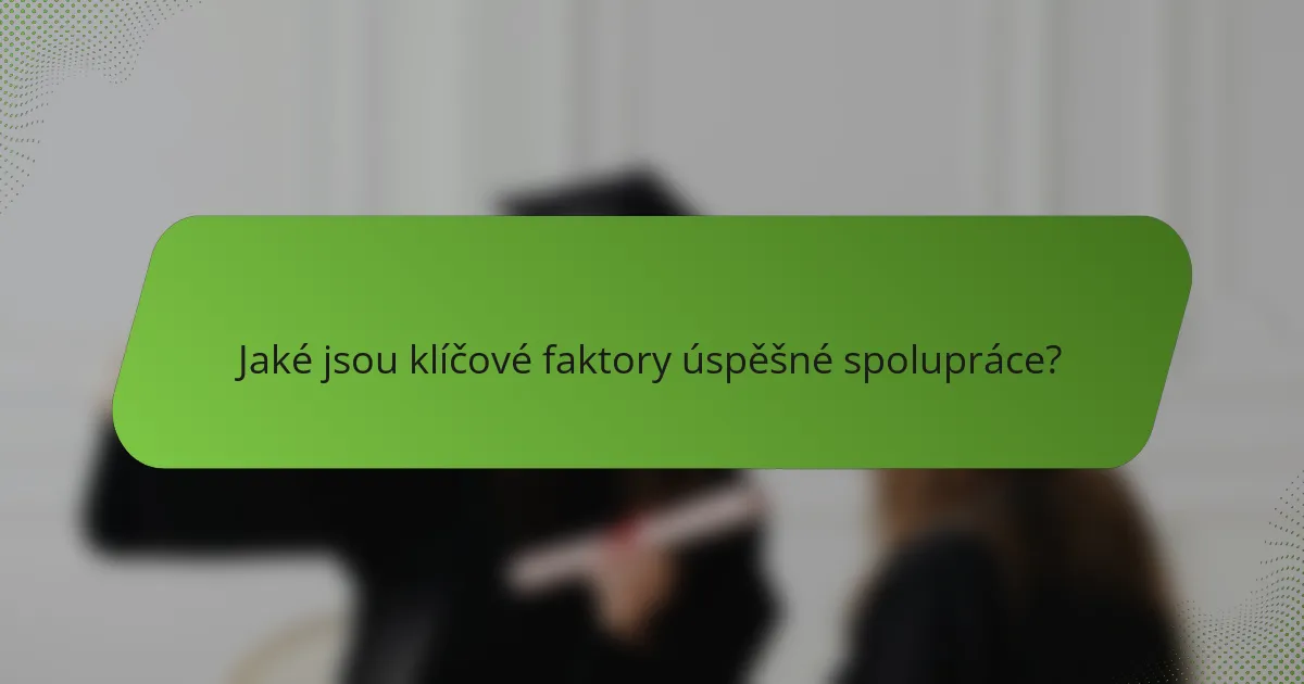 Jaké jsou klíčové faktory úspěšné spolupráce?