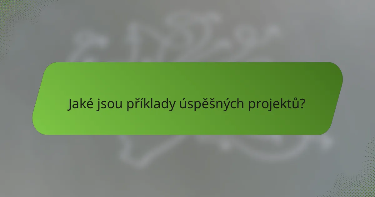 Jaké jsou příklady úspěšných projektů?