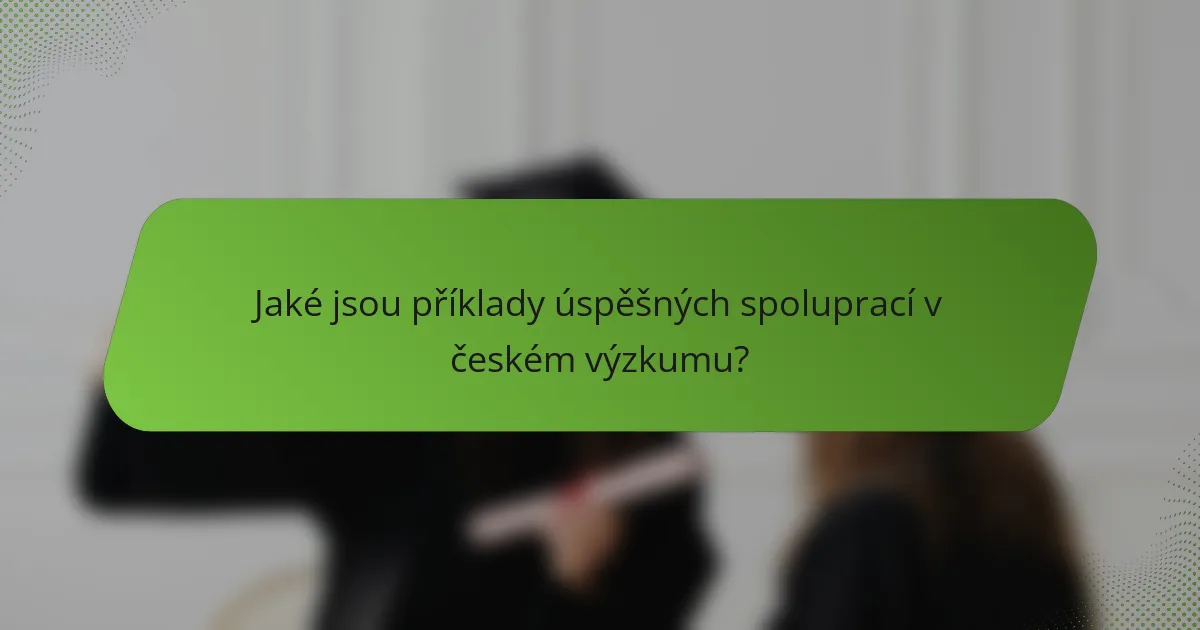 Jaké jsou příklady úspěšných spoluprací v českém výzkumu?