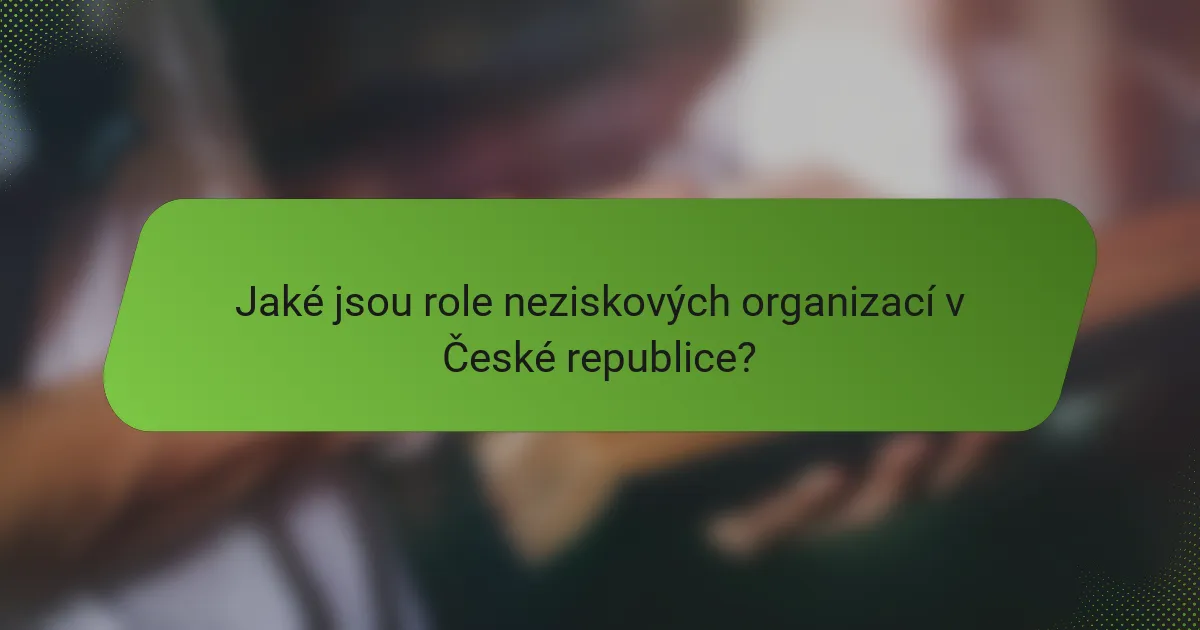 Jaké jsou role neziskových organizací v České republice?